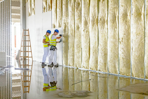 Best Residential Insulation in Shortsville, NY